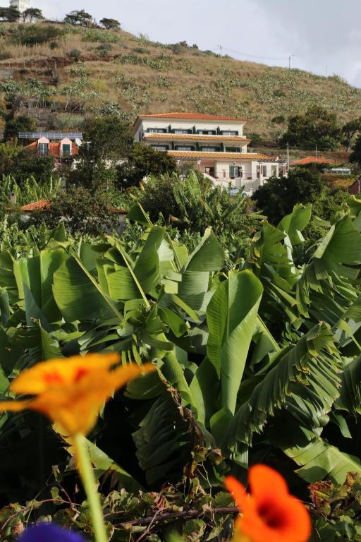 Vila Marta Aparthotel Funchal  Exterior foto